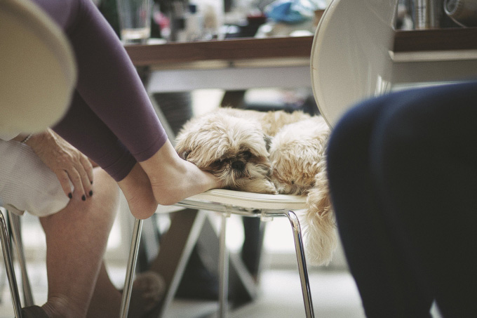 David Jenkins photography010