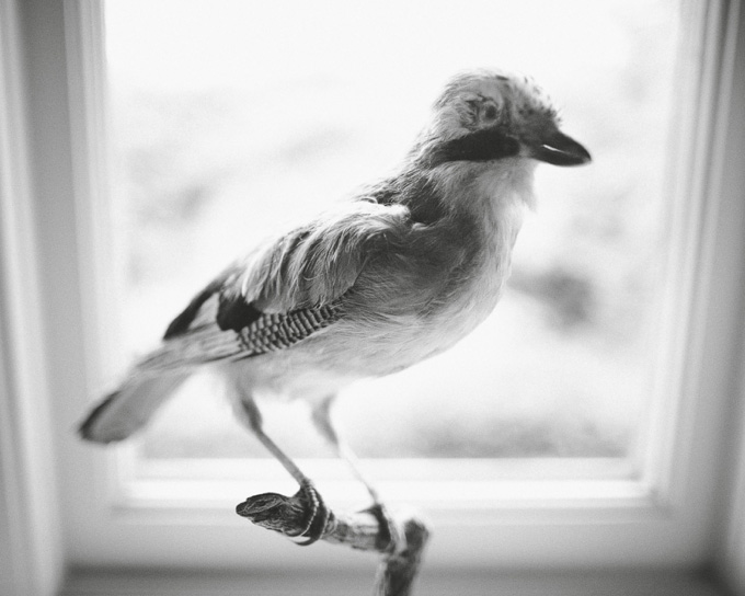 Tee-pee wedding photos015