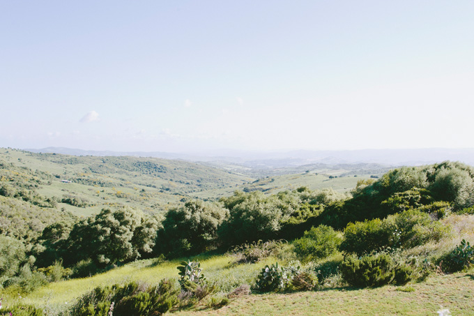 Malaga wedding photographer004