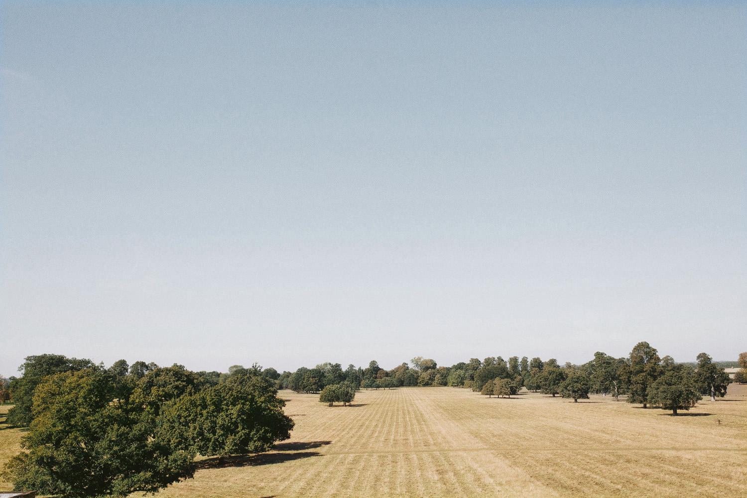 rolling farmland in the sunshine in Oxfordshire